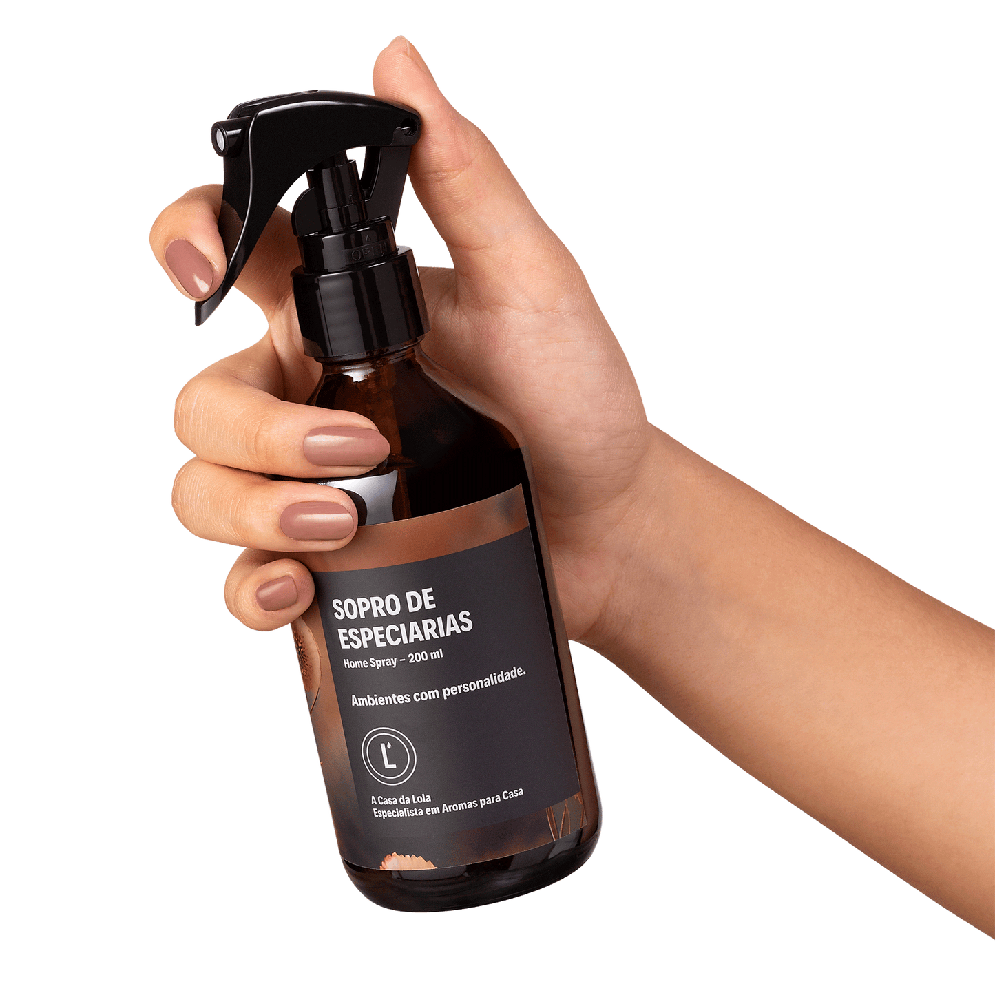 Home Spray Sopro de Especiarias