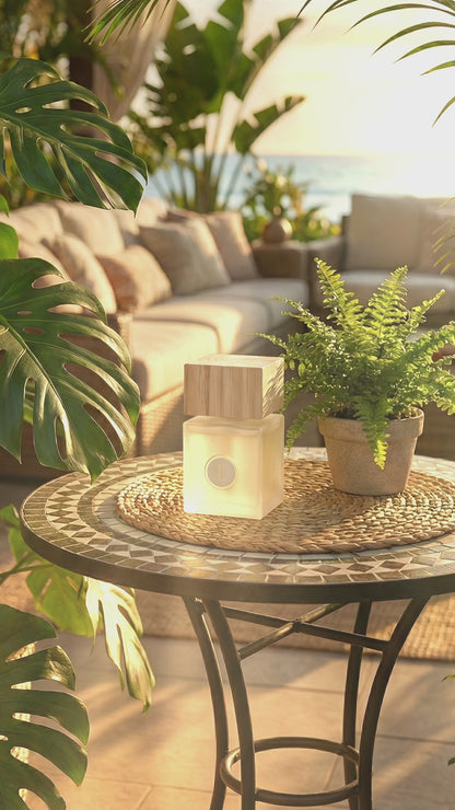 Kit Difusor Ecológico Toque Revigorante